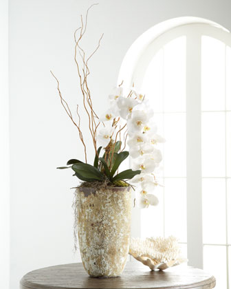 John richard Collection White Orchid in Stone Planter   The Horchow 